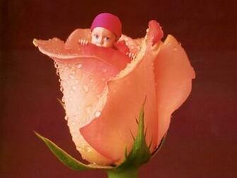 Baby Pictures Anne Geddes Babies Costumes