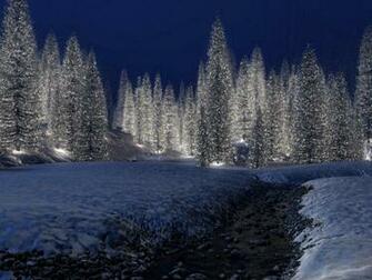 Christmas Scenery HD Snowy Scene