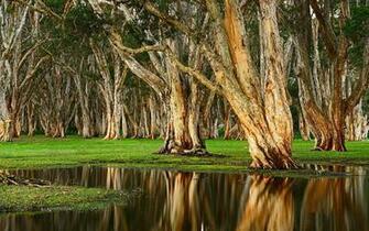 Wallpaper Landscape