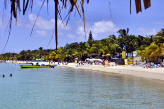 Roatan City HD Walls Find Wallpaper For