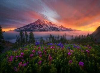 Snow Sunrise Mountain Flowers Valley Meadow Wallpaper Background