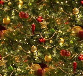 Christmas Background Holiday Themes
