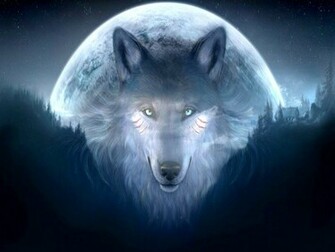 Beautiful And Amazing Wolf Pictures