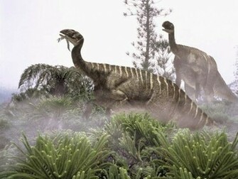 Dinosaurs Jungle Wallpaper