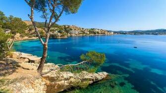 Palma Menorca Tree Blue Sea Coast Houses Spain Wallpaper