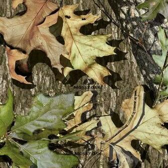 Hunting Camo Background