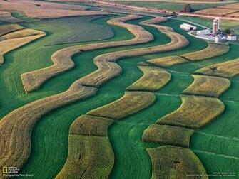 From The Curse Of Fertilizer National Geographic May