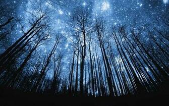 Weekly Wallpaper Enchant Your Desktop With These Starry Night Image