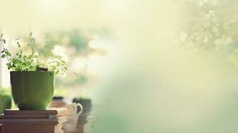 House Plant Axiom Technologies