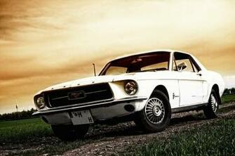 Mustang Wallpaper