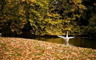 Fall Seasons Wallpaper In HD