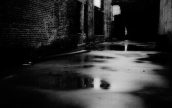 It S Easier To Self Medicate By Julia Speck The Salt Collective