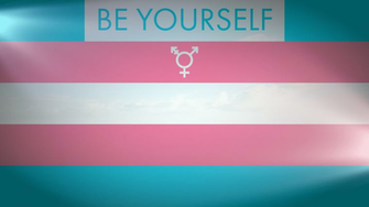 Trans Pride In Computer Wallpaper