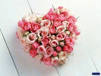 Beautyful Flowers Love Flower Wallpaper
