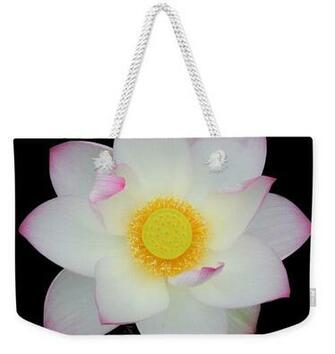Pink Tipped White Lotus Transparent Background Weekender Tote Bag