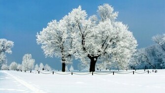 Nature Life Image 1080p