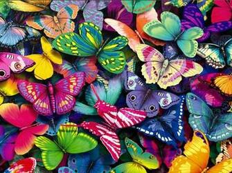 Fantastic Butterfly Screensaver Animated Wallpaper Torrent