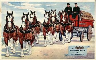 Clydesdale Horse Christmas Wallpaper