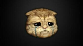 Cat Jpg Alienware Arena