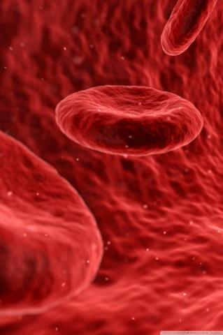 Red Blood Cells Microscope Ultra HD Desktop Background Wallpaper