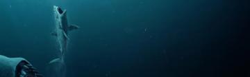 Wallpaper The Meg Shark Underwater UHD 8k Picture Image