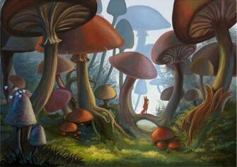 Wallpaper Mushroom Forest