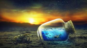 Crab And Andoned Bottle With Water 4k Wallpaper