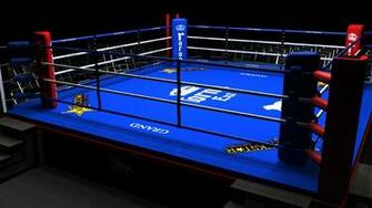Boxing Ring 3d Model