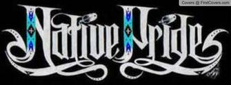 Native Pride Cover