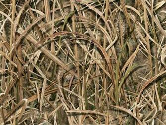 New Pattern From Mossy Oak Shadow Grass Blades Victory Outdoors