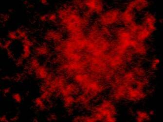 Blood Stain Image Picture Code