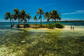 Belize Flats Fly Fishing Bonefish Tarpon Permit Turneffe Jpg