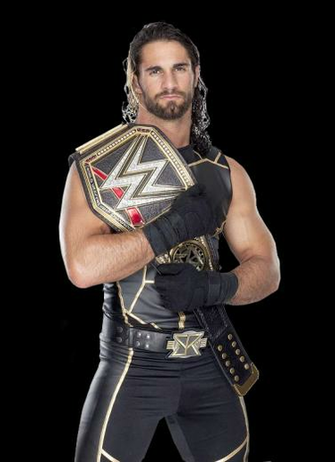Seth Rollins Wwe World Heavyweight Champion By Nibble T