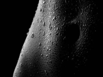 Female Belly Body Sweat Drops Sexy Hot Babes