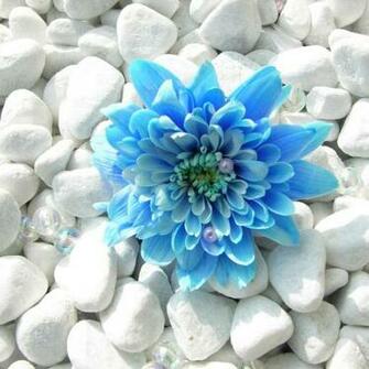 iPad Mini Wallpaper HD Igh Custom