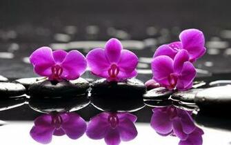 Zen Relaxation Background Peaceful