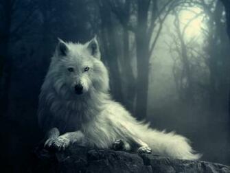 3d Wolf Wallpaper HD 2u