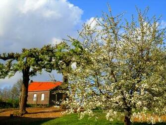 The Countryside Photography Photo Country House Wallpaper
