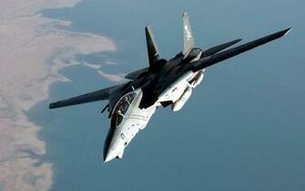 Tomcat Wallpaper