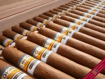Cigar Wallpaper Cohiba Behike