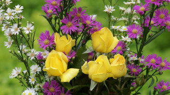 Yellow Roses And Other Flowers In A Bouquet Wallpaper Image
