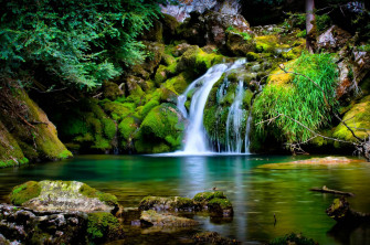 High Definition Nature Wallpaper