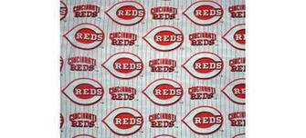 Cincinnati Reds Themepack