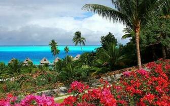 Tropical Island Wallpaper