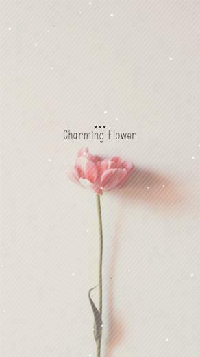 Pure Charming Flower Simple Pattern iPhone Wallpaper