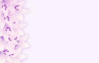 Border Of Lilies A Lily In Pink Purple And White Great