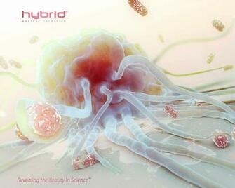 Medical Desktop Wallpaper