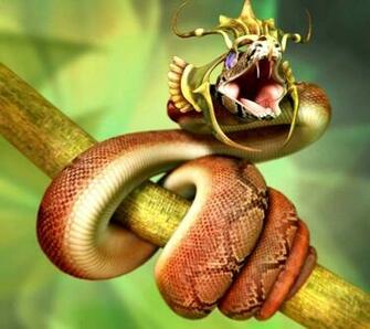 Snake Wallpaper Snakes Animals HD