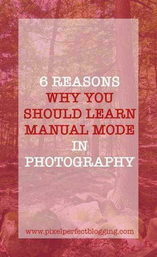 Juvenile Dslr Photography Tips Background Dslrnikon
