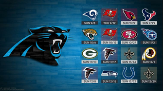 Carolina Panthers Wallpaper Pro Sports Background